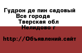 Гудрон де пин садовый - Все города  »    . Тверская обл.,Нелидово г.